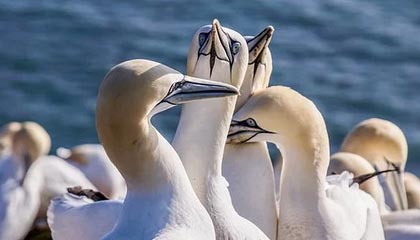 开云体育下载-国足主教练邵佳一：中国足球要持续精进、保持专注